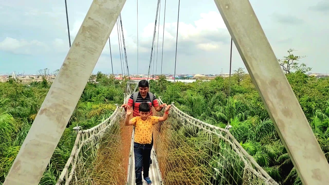 Lekki Conservation Centre A Virtual Tour Guide ReviewIt