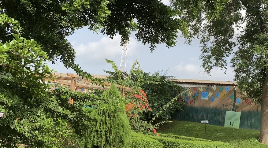 Dr Oluyomi Abayomi Finnih Recreational Park: Read this before you go!