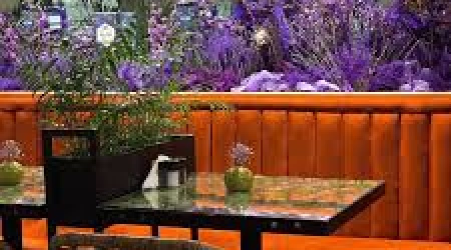 Caffeine, Calm & Color: Why We Love Flower shop Café