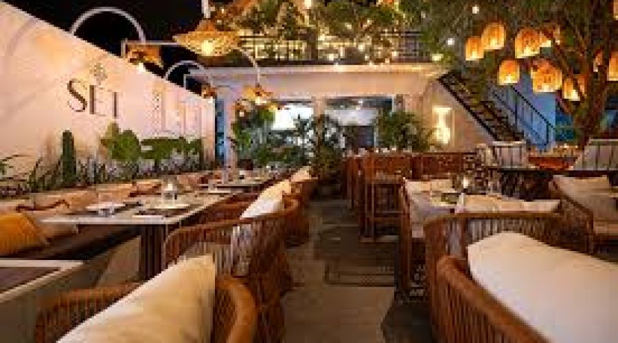 SET Lagos: A Garden Dining Experience in Lekki Phase 1